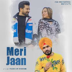 Meri jaan-OVgoYwV1ZWk