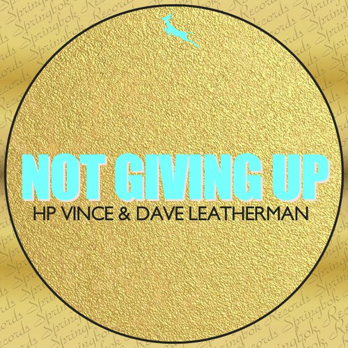 Not Giving Up (Nu Disco Mix)