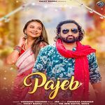 Pajeb