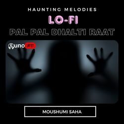 Pal Pal Dhalti Raat Lo-Fi-FzoFZ0FgXgU