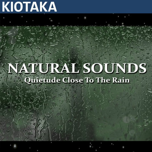 Quietude Close to the Rain_poster_image