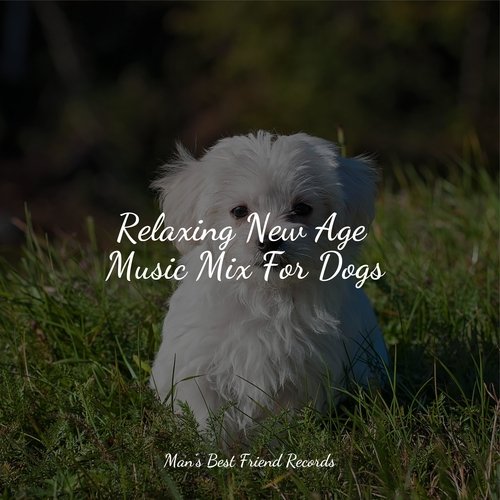 Meditating Music cover art