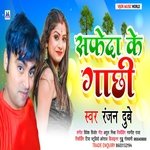 Safeda Ke Gachhi (Bhojpuri)