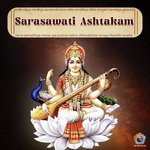 Saraswati Ashtakam