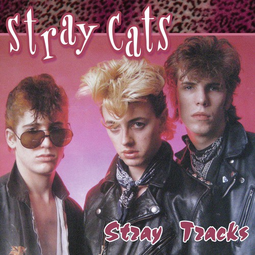 stray cats download stray cats download