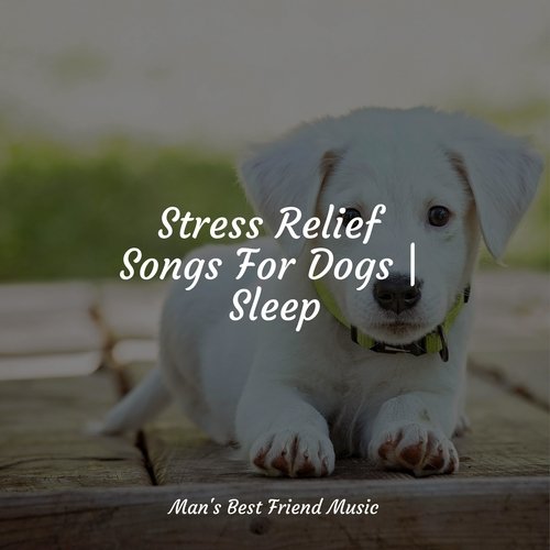 Sleepy Head cover art