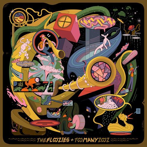 Too Many Flooz cover art