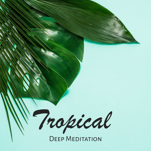 Vacation Meditation cover art