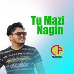 Tu Mazi Nagin