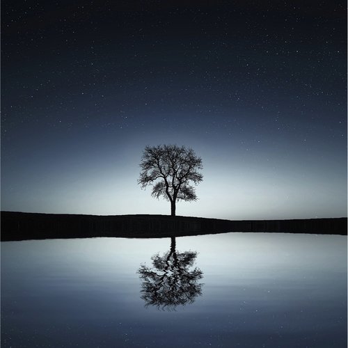 Ultimate Peace & Calm