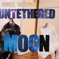 Built To Spill profile photo