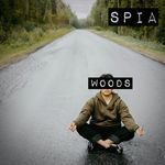 Woods artwork