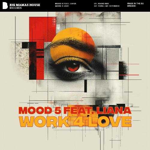 Work 4 Love (feat. Liana) (Radio Mix)