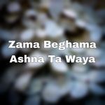 Zama Beghama Ashana Ta Waya