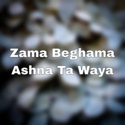 Zama Beghama Ashana Ta Waya