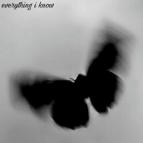 everything i know cover art
