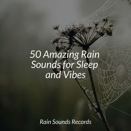 50 Amazing Rain Sounds for Sleep and Vibes_poster_image