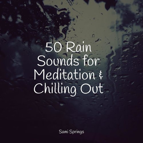 50 Rain Sounds for Meditation & Chilling Out