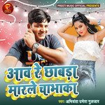 Aav Re Chhabra Marle Chabhaka artwork
