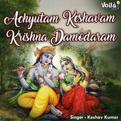 Achyutam Keshavam Krishna Damodaram-RCkOVDdvVlw