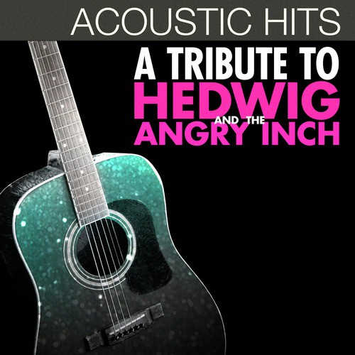 Acoustic Hits - A Tribute to Hedwig and the Angry Inch_poster_image