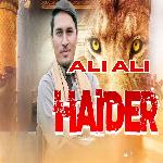 Ali Ali Haider