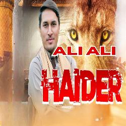 Ali Ali Haider