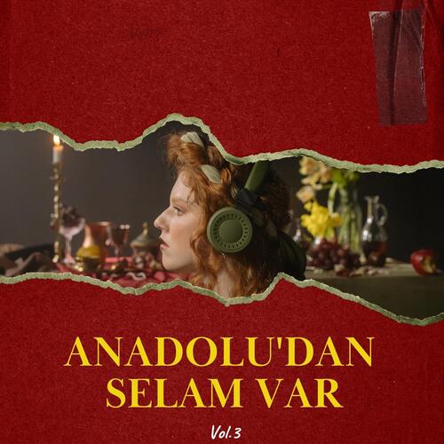 Burçak Tarlası (Playback) cover art