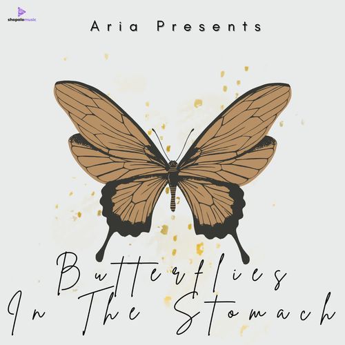 Butterflies In The Stomach