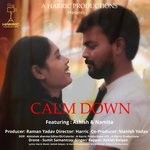 Calm Down (Hindi)