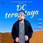 Dc Tera Taya