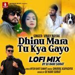 Dhinu Mara Tu Kya Gayo Lofi Mix