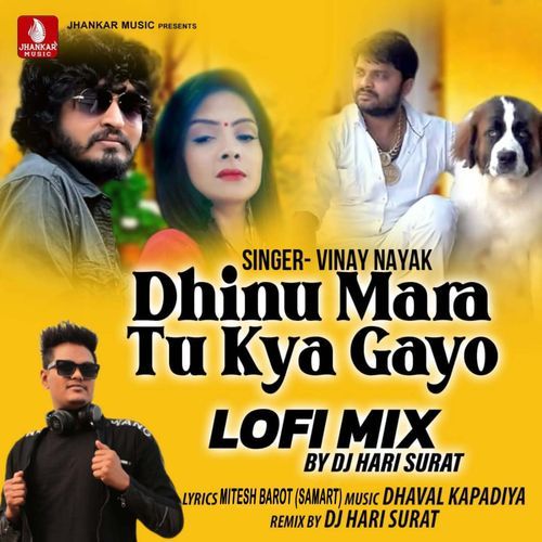 Dhinu Mara Tu Kya Gayo Lofi Mix