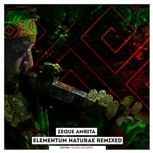 Narayan (ElPeche Remix) cover art