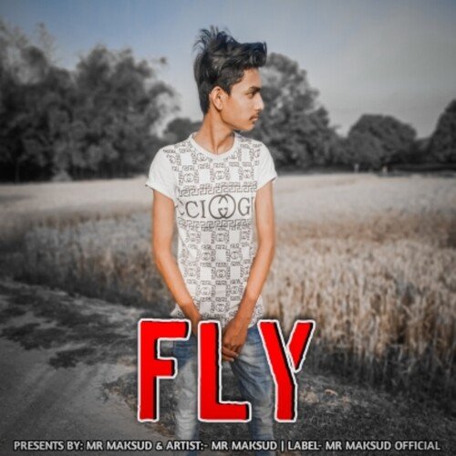 Fly