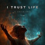 I Trust Life (I Could Cry)
