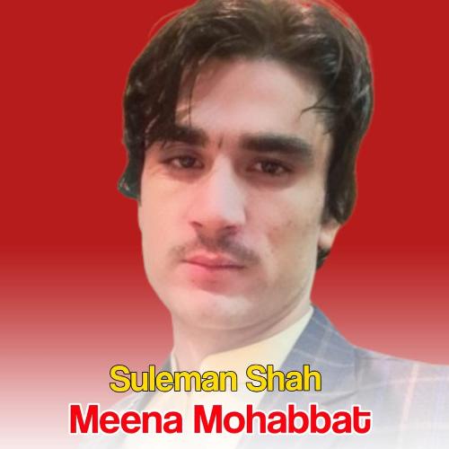 Meena Mohabbat