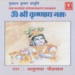 Om Shree Krishnaye Namah
