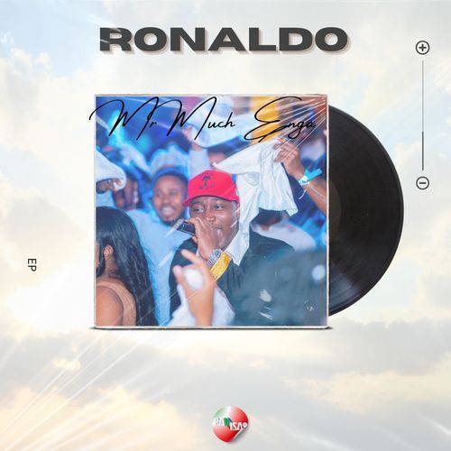 Mayor cover art
