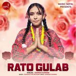 Rato Gulab