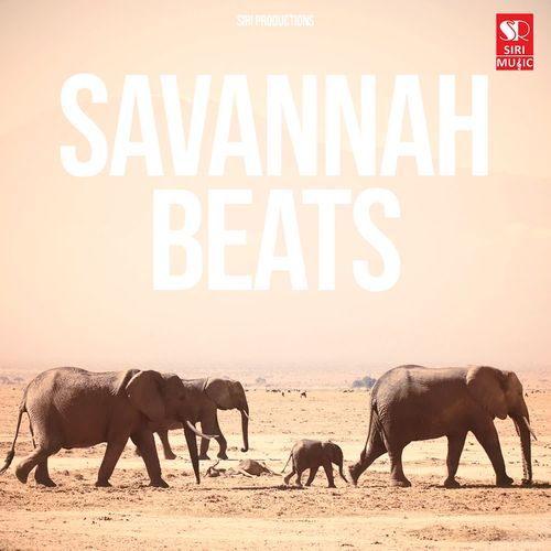 Savannah Beats