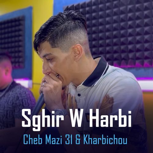 Sghir W Harbi_poster_image