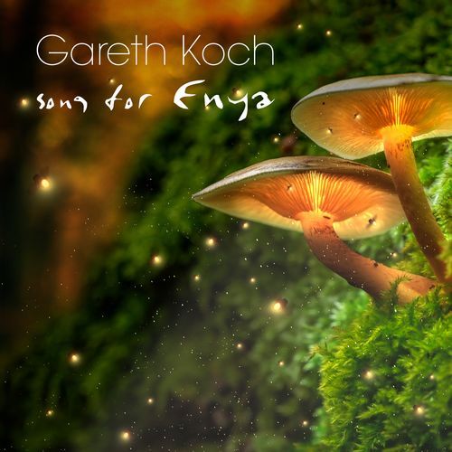 Song For Enya