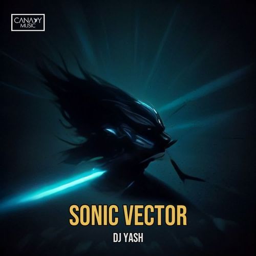Sonic Vector