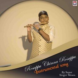 Rosappu Chinna Rosappu Instrumental Song-Hi8CdxlYfWM