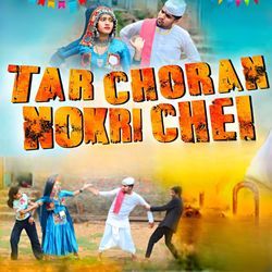Tar Choran Nokri Chei