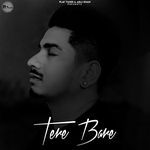 Tere Bare