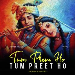 Tum Prem Ho Tum Preet Ho - Slowed &amp; Reverb
