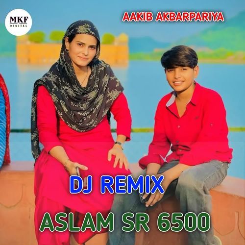 ASLAM SR 6500 (DJ REMIX)