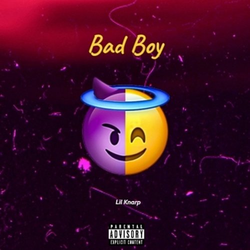 Bad Boy_poster_image